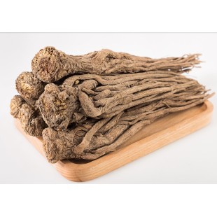 GanSu MinXian Dang Gui Angelica Sinensis Roots Dong Quai, Dang Gui Herbal